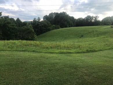 422 Little Caney Ridge, Coeburn, VA 24230 - photo 2