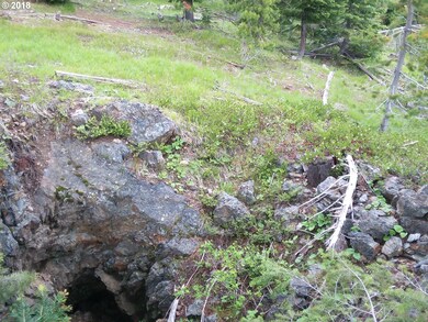 0 08s36 Tl 1900 unit 18542076, Sumpter, OR 97877 - photo 3