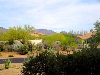 Views of McDowell Mountains from front