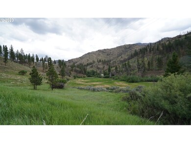 24954 Hwy 395 S, Canyoncity, OR 97820 - photo 6