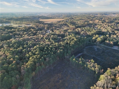 0 Pleasant Way, Jasper, AL 35501 - photo 2