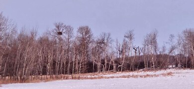 Parcel 4 Cr-68 NE, Carlos, MN 56319 - photo 5