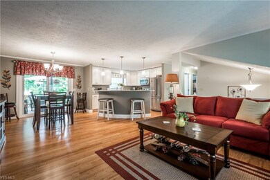 Open to the kitchen and dining room