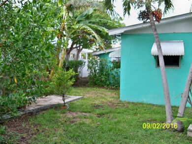backyard2