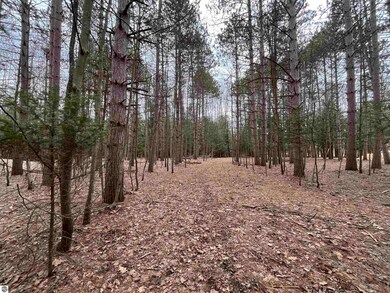 VL Briar Ln unit 4, Forest Home Township, MI 49615 - photo 6