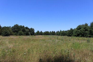 IMG_2562