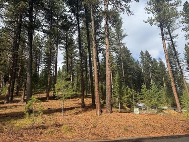 TBD Sorrel Dr unit 21, New Meadows, ID 83654 - photo 5