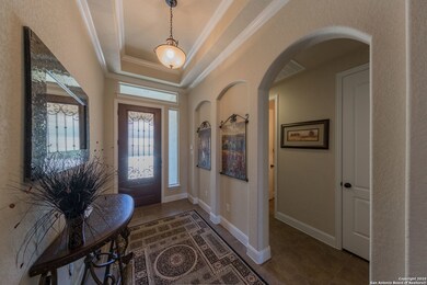 25923 Natal Plum, San Antonio, TX 78261 - photo 6