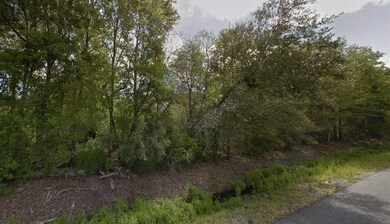 0 E Pinewood Dr, Lake Charles, LA 70607 - photo 4