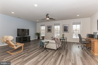 2409 Conoy St unit 102, Alexandria, VA 22301 - photo 5