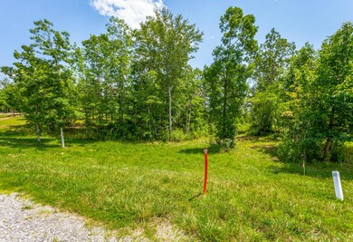 0 Bear Crawl Rd unit 1322617, Jasper, TN 37347 - photo 3