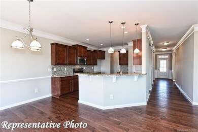 468 Snapdragon Dr unit LOT 278, Clover, SC 29710 - photo 4