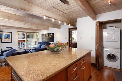 630 E Cooper Ave unit 13, Aspen, CO 81611 - photo 3