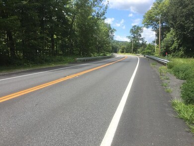 0 Mohawk Trail, Hawley, MA 01339 - photo 6