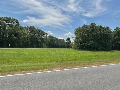 0 Chappell Rd unit 543723, Waynesboro, GA 30830 - photo 6