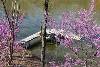 Dock March 2014