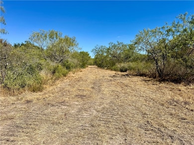 0 County Road 215, McCoy, TX 78113 - photo 3