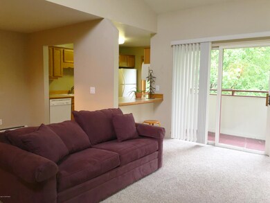 Open Living and Kitchen