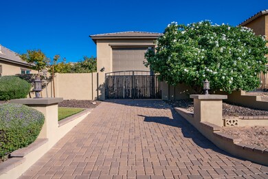 3 Front Yard