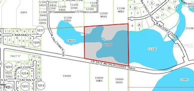 1785 E Withlacoochee Trail, Dunnellon, FL 34434 - photo 5