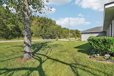 133 Walnut Rd, Ocala, FL 34480 - photo 3