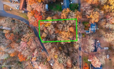 Lot 107 Caughron Dr, Sevierville, TN 37876 - photo 2