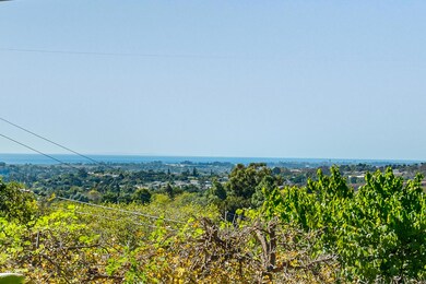 DSC09416-Edit-Edit-3