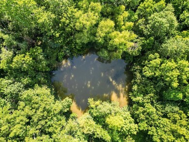 Drone / aerial view of a large body of water and a forest