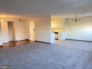 900 N Broom St unit 14, Wilmington, DE 19806 - photo 4