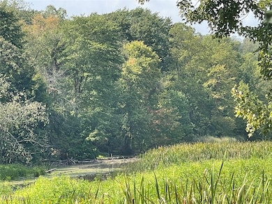 10411 Scatell St NW, Canal Fulton, OH 44614 - photo 6