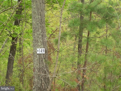 160 Ridgeview Dr, Moorefield, WV 26836 - photo 4