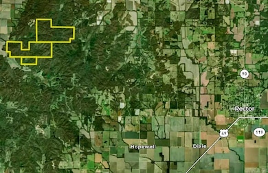 0 Clay County Rd 408 unit 24033571, Rector, AR 72461 - photo 3