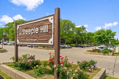 1195 Meadow Ln unit 213, Hoffman Estates, IL 60169 - photo 2