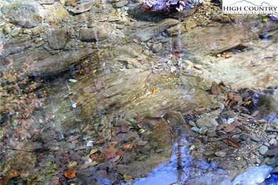 9700 Elk Creek Rd, Deep Gap, NC 28618 - photo 2