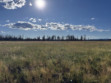 0 White Birch Way unit 10 100277061, Bly, OR 97622 - photo 6