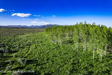 Aspen Groves and Meadows