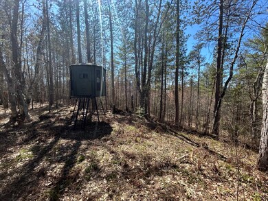 80AC off Razorback Rd, Conover, WI 54519 - photo 6
