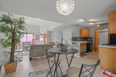 1039 Fillmore Cir NE, Minneapolis, MN 55432 - photo 4