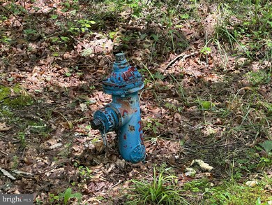 0 unit WVHD2002938, Moorefield, WV 26836 - photo 6