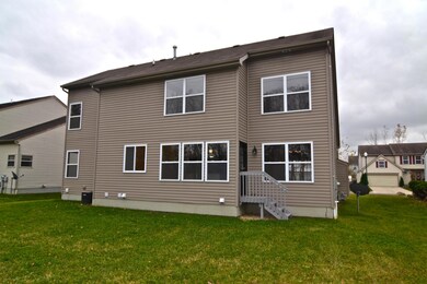 Rear Exterior