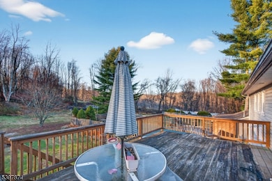 28 Deerfield Dr, Franklin, NJ 07416 - photo 5