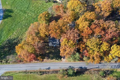 233 Morrisons Rd, Stephenson, VA 22656 - photo 3