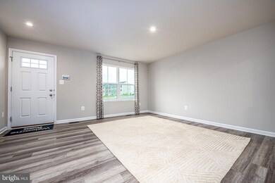 214 Spring Place, Strasburg, VA 22657 - photo 4