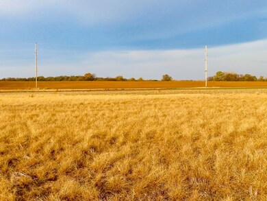 00000 S 311th St W, Garden Plain, KS 67050 - photo 6
