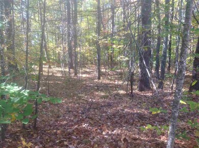 64 Pine River Path, Effingham, NH 03882 - photo 4