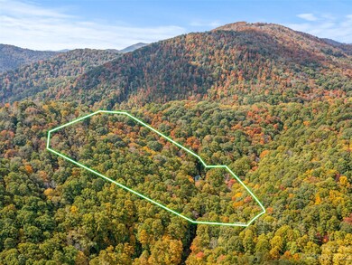 319 Narrow Way Rd, Burnsville, NC 28714 - photo 3