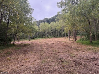 19-23-29 Swayze Mill Rd, Hope, NJ 07825 - photo 4