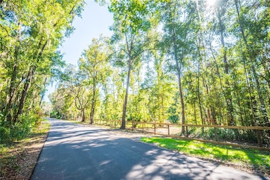 21490 NW 106th Court Rd, Micanopy, FL 32667 - photo 3