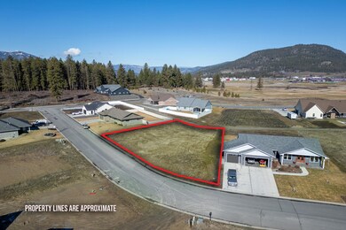 03-2037 ringneck loop-colville