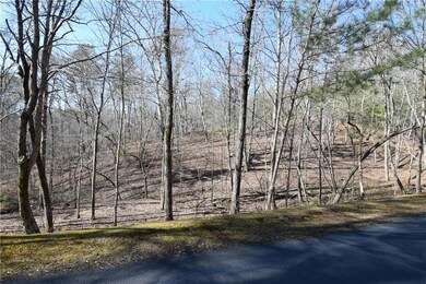 00 Harris Ridge Ln, Ellijay, GA 30540 - photo 6